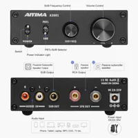 AIYIMA A3001, foto 3 van 6