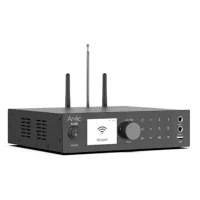 Arylic A100, foto 3 van 6