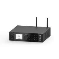 Arylic A100, foto 1 van 6