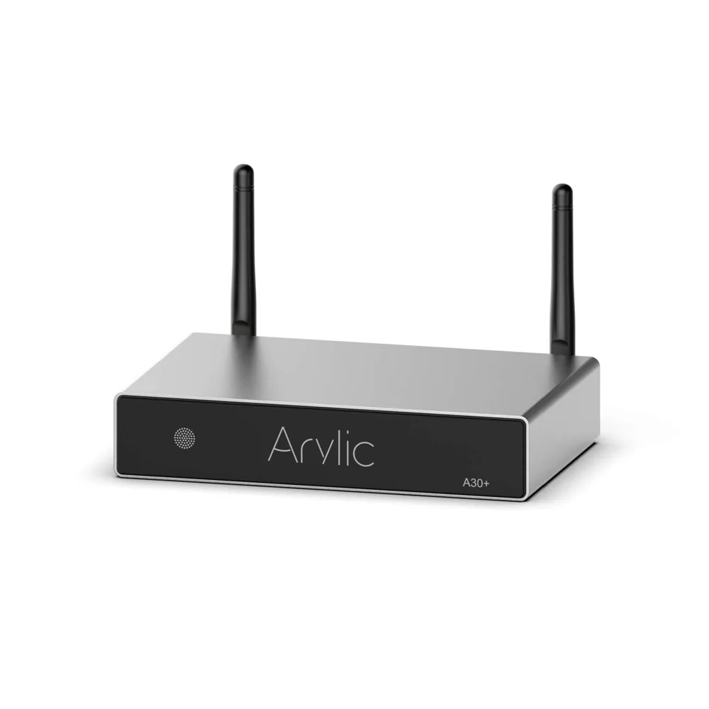 Arylic A30+