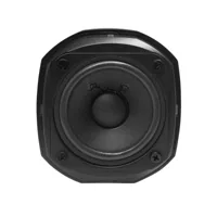 Arylic RK30, foto 4 van 6