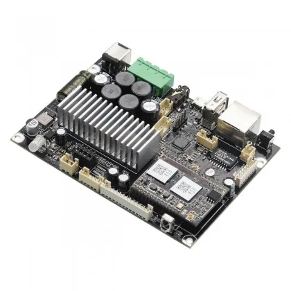 Arylic Up2Stream Amp Mono