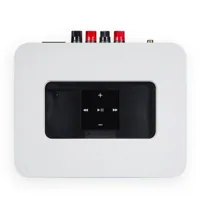 Bluesound POWERNODE 2i, foto 4 van 6