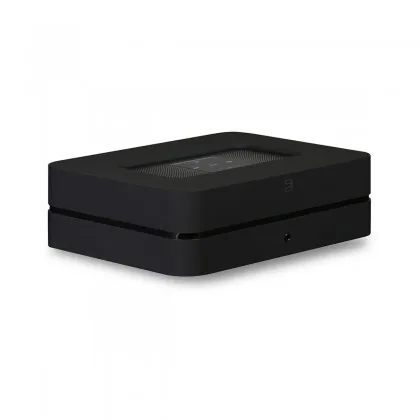 Bluesound Powernode 2i
