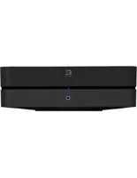 Bluesound POWERNODE (N330), foto 2 van 2
