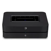 Bluesound POWERNODE (N331), foto 3 van 4