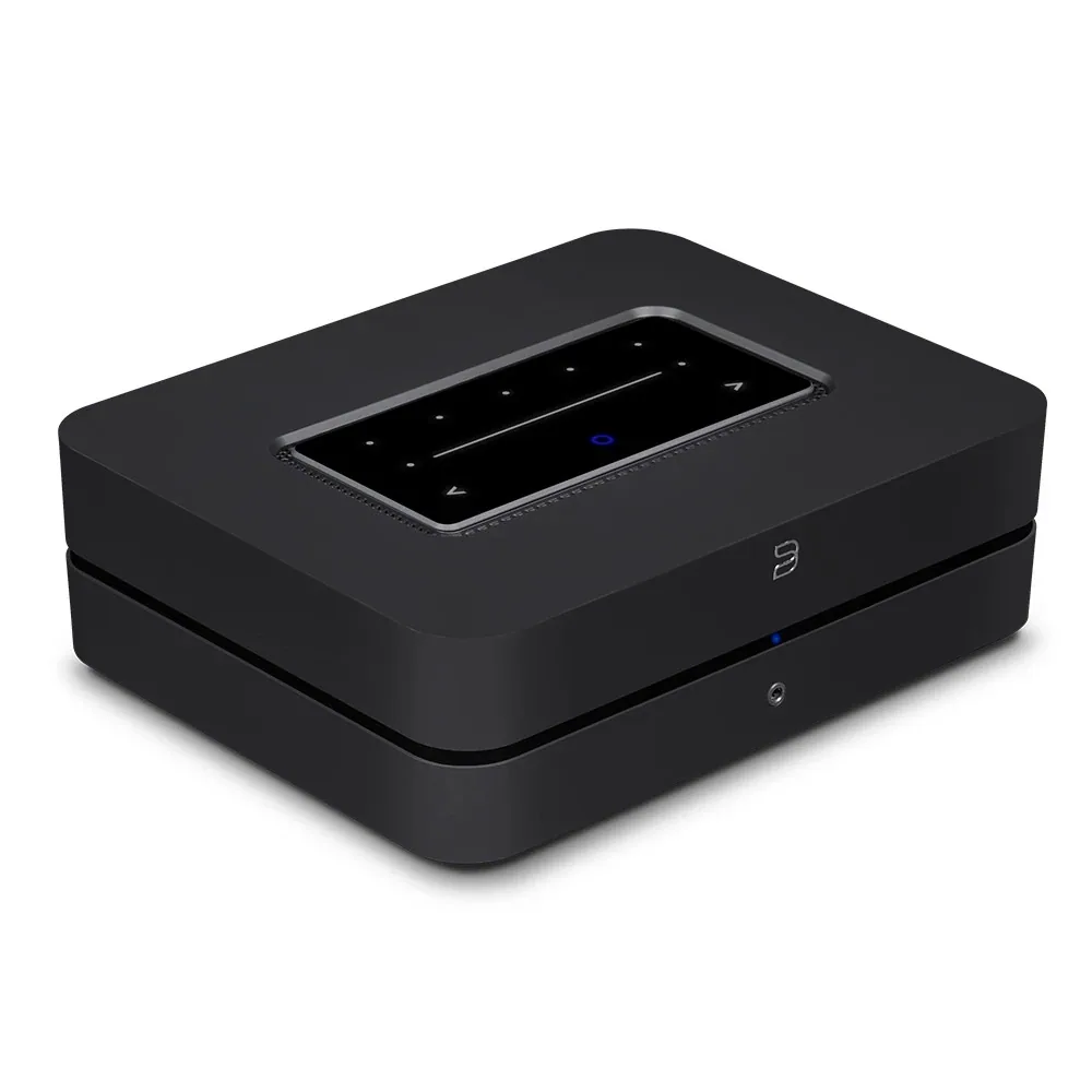 Bluesound POWERNODE (N331)
