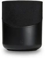 Bluesound PULSE M, foto 1 van 2