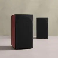 Bowers & Wilkins 707 Prestige Edition, foto 5 van 6