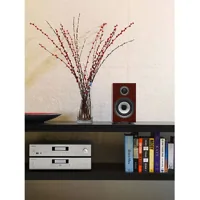 Bowers & Wilkins 707 S2, foto 4 van 4
