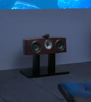 Bowers & Wilkins HTM2 D3, foto 3 van 6