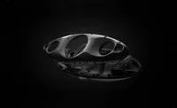 Bowers & Wilkins Zeppelin Wireless, foto 3 van 3