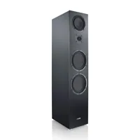 Canton GLE 100 S2, foto 4 van 5