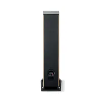 Focal Aria Evo X N°2, foto 6 van 6
