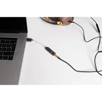 iFi audio iFi GO link 2, foto 3 van 6