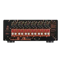 Marantz AMP 20, foto 3 van 6