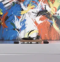Pro-Ject Audio Systems Pro-Ject 2Xperience SB, foto 2 van 3