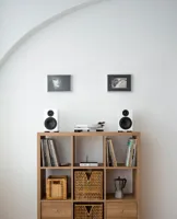 Pro-Ject Audio Systems Pro-Ject RPM 1 Carbon, foto 4 van 6